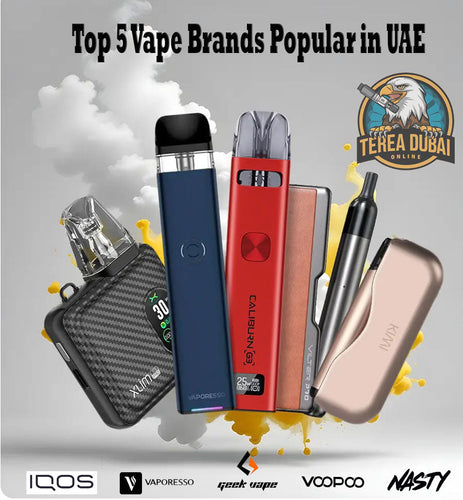 Top 5 Vape Brands Popular in UAE Terea dubai online