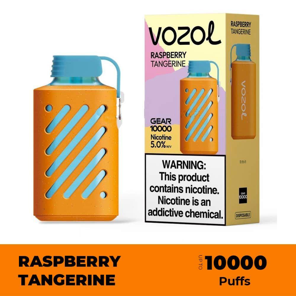 VOZOL GEAR 10000 Puffs Rechargeable Disposable Vape