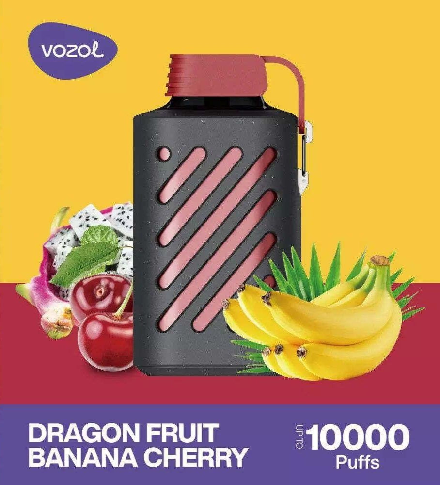 VOZOL GEAR 10000 Puffs Rechargeable Disposable Vape