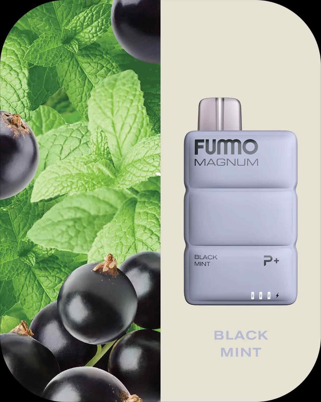 FUMMO Magnum 8000 Puffs Disposable Device