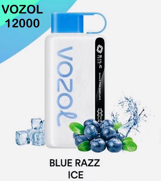 Vozol Star 12000 Puffs Disposable Vape in Dubai, UAE