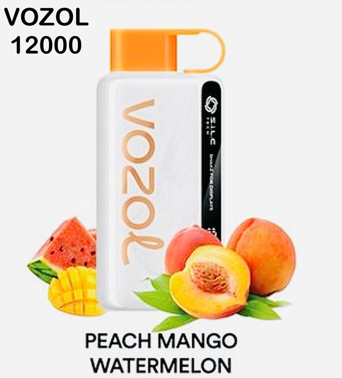 Vozol Star 12000 Puffs Disposable Vape in Dubai, UAE