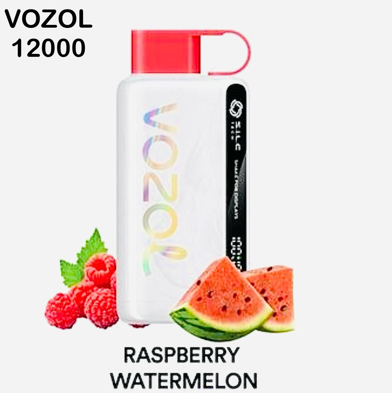 Vozol Star 12000 Puffs Disposable Vape in Dubai, UAE